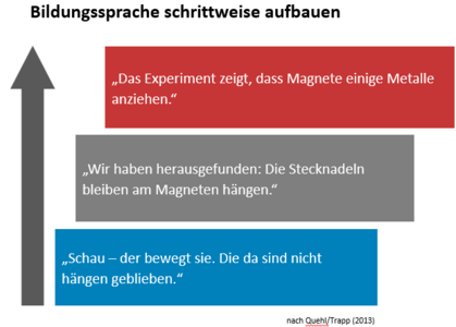 Bild einer Grafik zur Veranschaulichung des bildungssprachlichen Aufbaus.